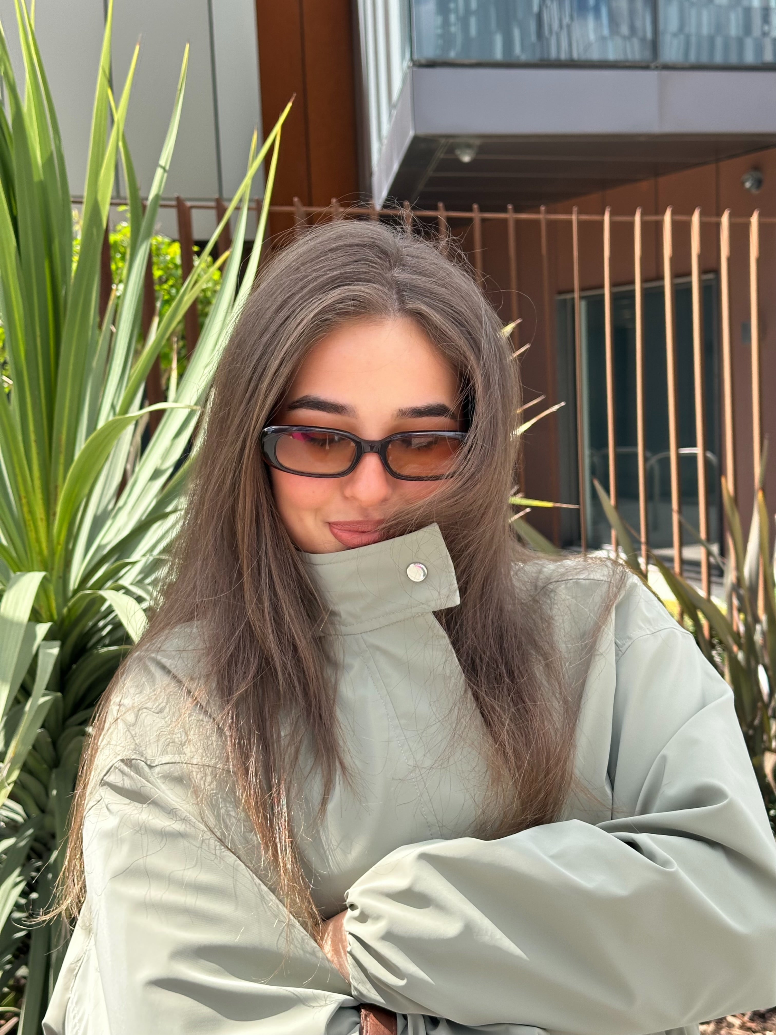 Diana Brown Sunglasses