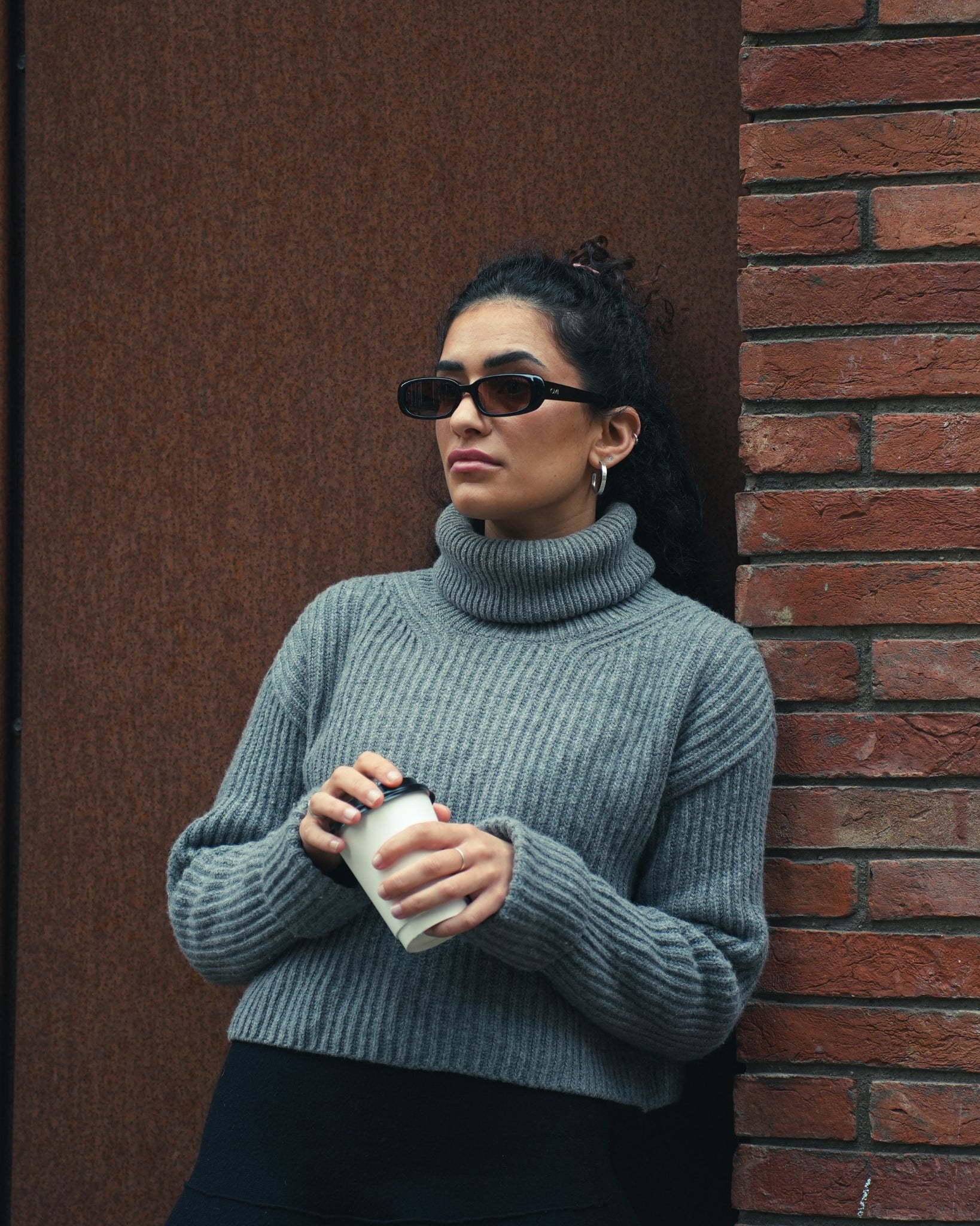 Diana Black & Brown Sunglasses