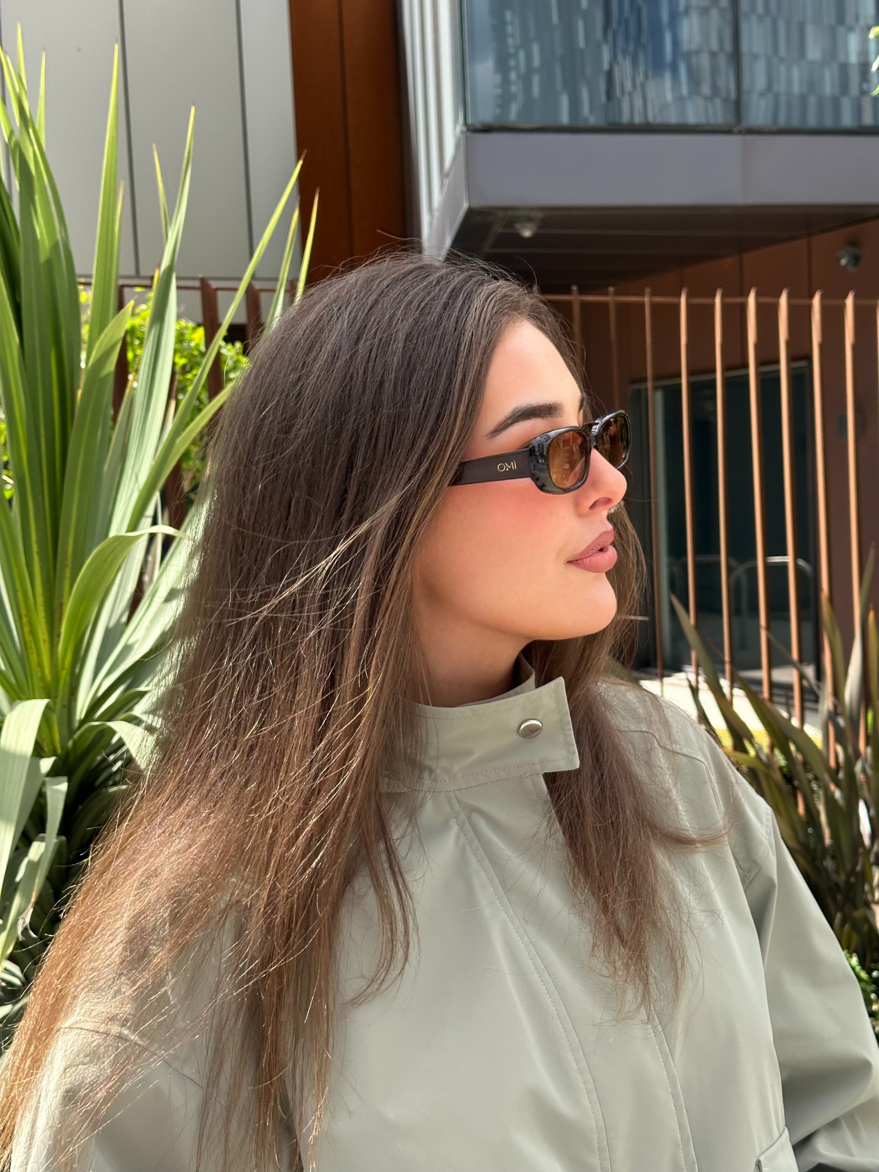 Diana Brown Sunglasses