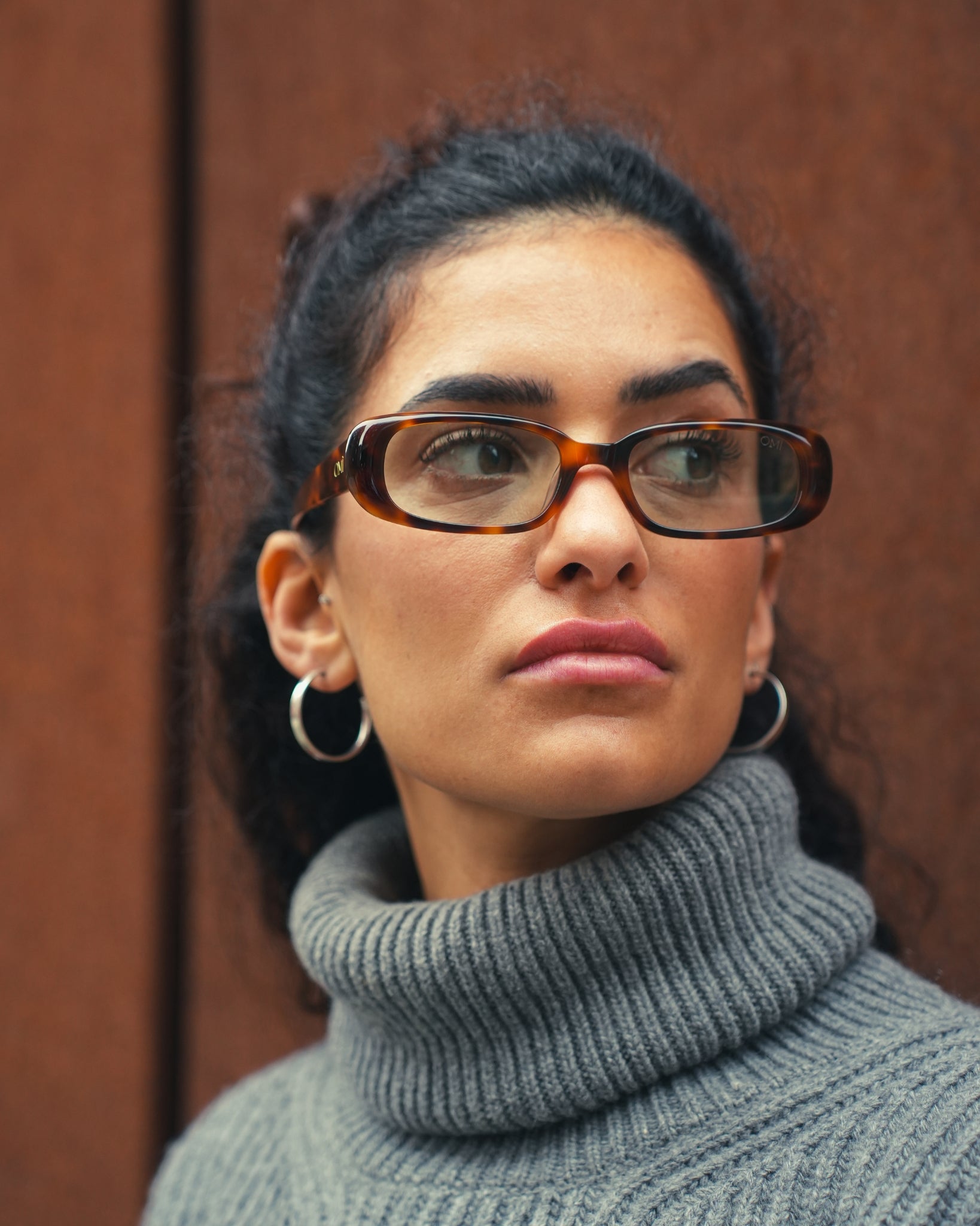 Diana Tortoise Sunglasses